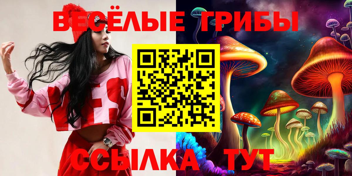 Псилоцибиновые грибы ЛСД  Вход с VPN  Псилоцибиновые грибы Cubensis  Солнечногорск 