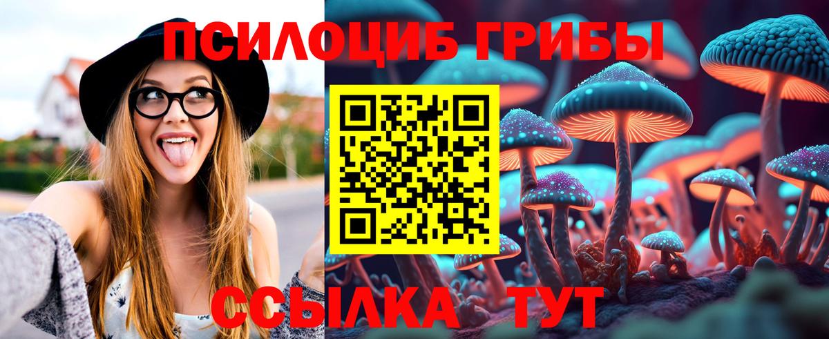 Псилоцибиновые грибы мухоморы Солнечногорск